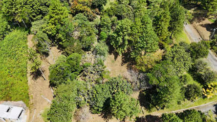 Forested mountain residential lot surrounded by lush greenery Altos del María Panama