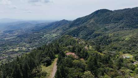 Hilltop mountain view lot surrounded by forest in Altos del María Panama