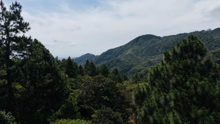 Dense green forest with panoramic mountain views in Altos del María Panama lot