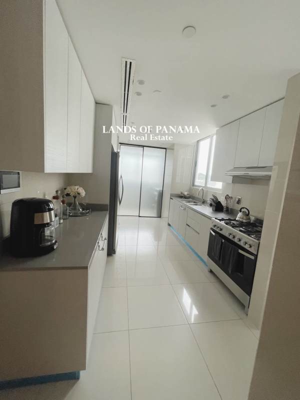 Terrace balcony at PH Costanera with panoramic ocean and skyline views Bella Vista Panama