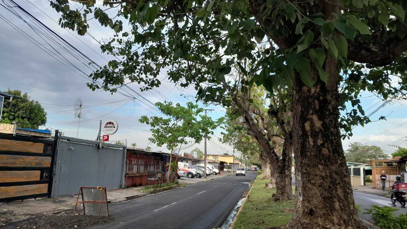 Neighborhood street lined with trees and gated properties view from duplex house balcony Chanis Panama