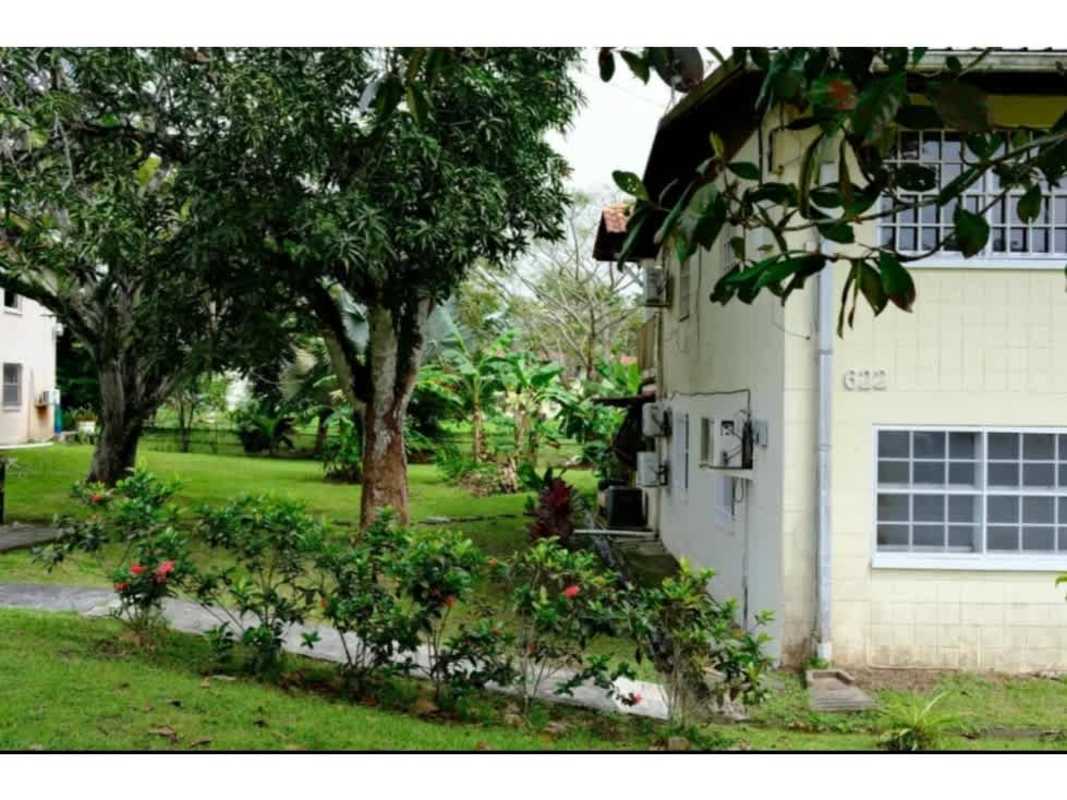 3BR Apartment for Rent in PH Residencial Clayton Nature Views