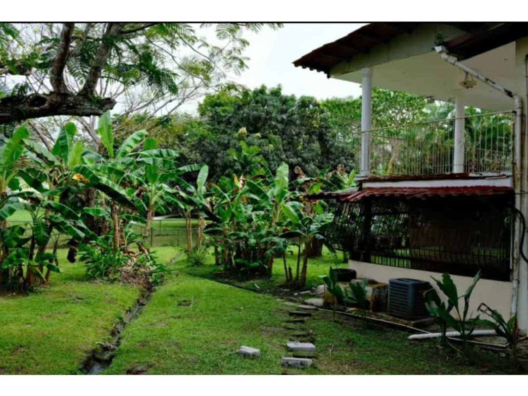 Balcony with tropical garden views and mature trees at PH Residencial Clayton Panama