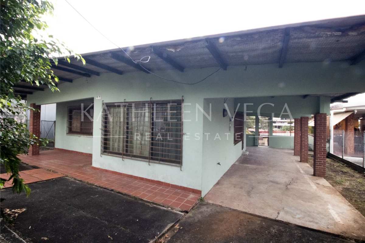 Spacious fenced backyard with palm trees and urban skyline backdrop in Carrasquilla San Francisco Panama City