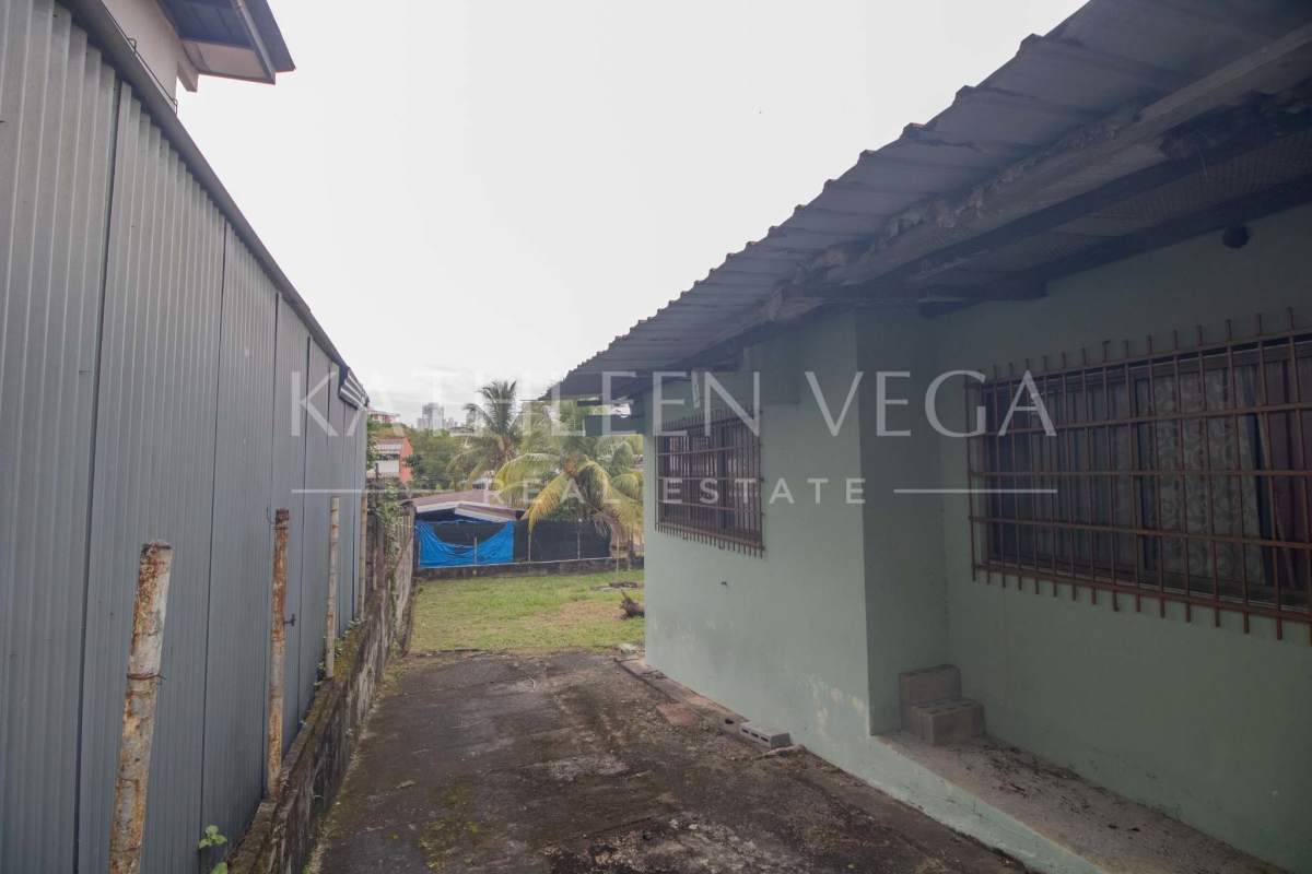Side garden space with palm trees and fencing in residential house Carrasquilla San Francisco Panama