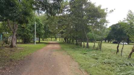 Roadfront flat lot with trees along Interamericana Highway Penonome Cocle Panama