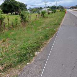 Roadside flat open countryside land along Interamericana Penonome Cocle