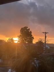 Dense greenery and mature tropical trees in Espinar residential complex Panama