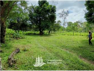 Deep water well on rural land farm ideal for irrigation and cattle in Gomez Bugaba Panama