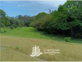 Land for Sale in Renacimiento - 0 bedrooms