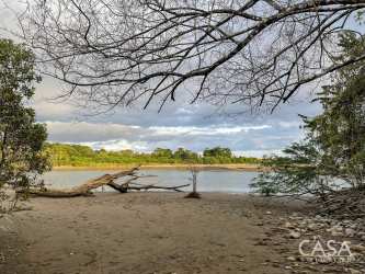 Riverbank view of land with trees near Las Lajas beach Panama