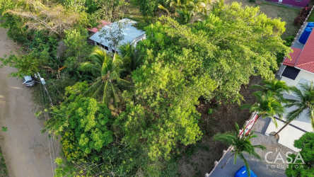 Aerial view of tropical lot with palms and access road in Las Lajas Panama