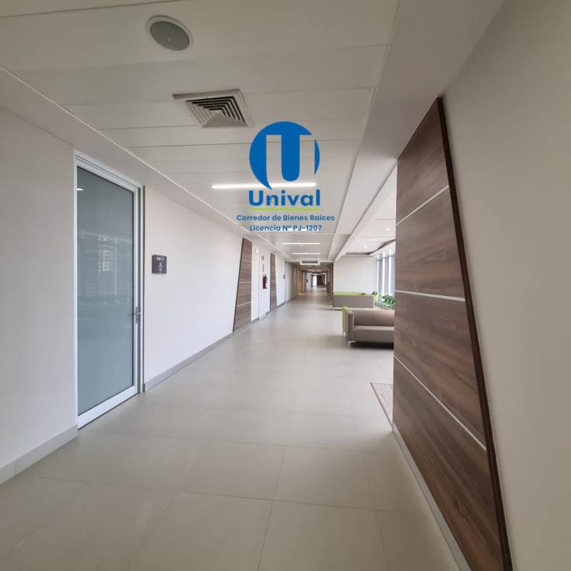 Wide hallway with glass storefront offices in Torre Palmeras at Town Center Costa del Este Panama