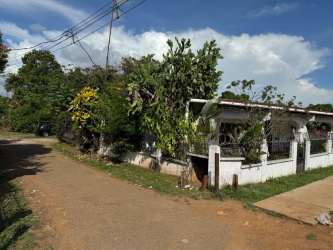 Exterior of fenced garden single-level family home with front trees and sidewalk in Victoriano Lorenzo David Panama