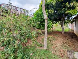 Patio with grass, trees, garden space Villas de Arraiján Panama Oeste