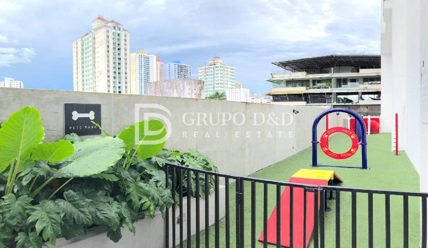 Outdoor pet park with agility facilities inside Velure condo Panama City