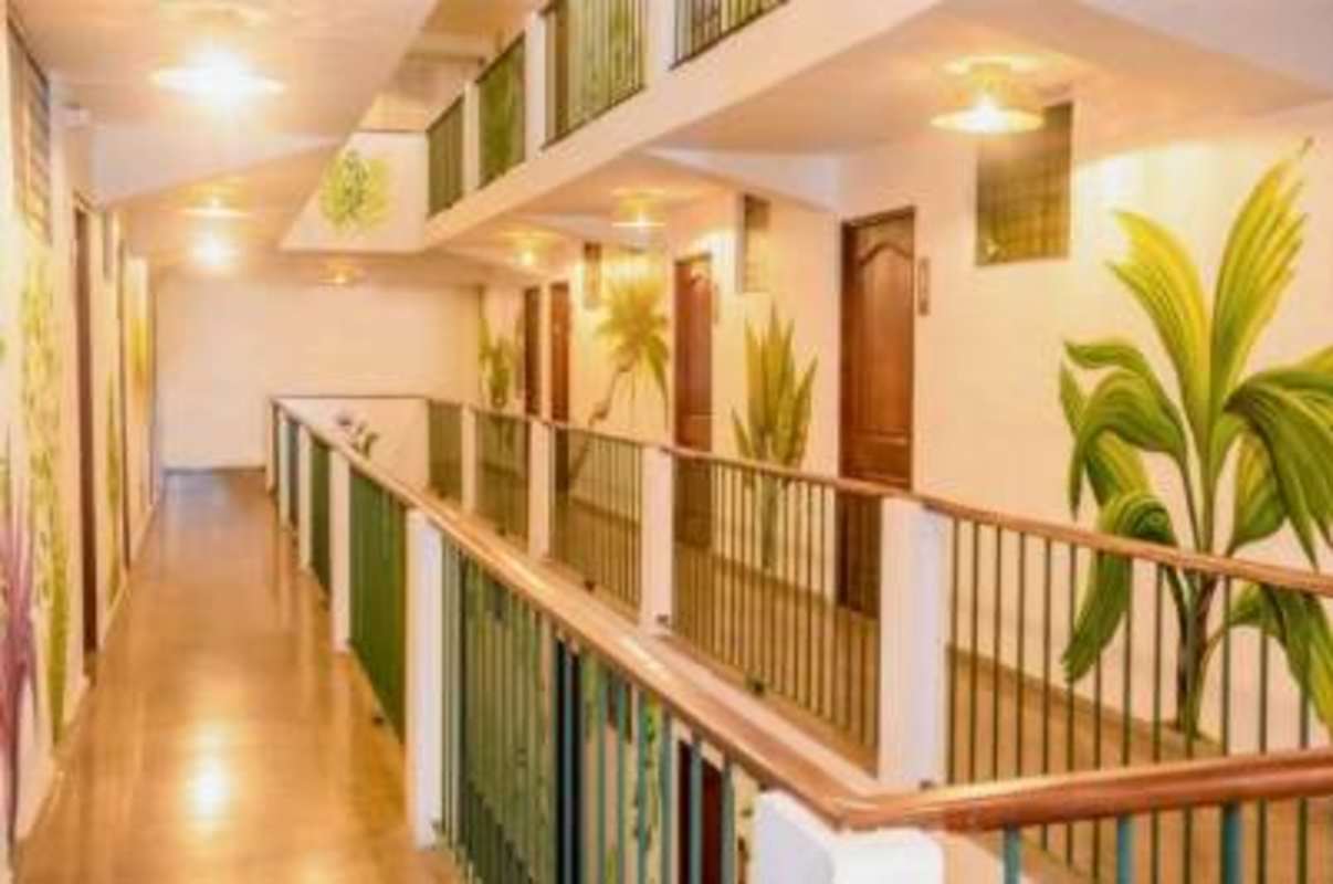 Hotel lobby with leaf murals, wooden reception desk, staircase in Casco Viejo Panama