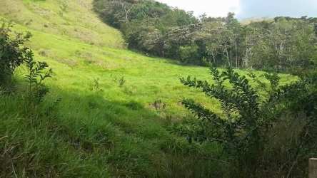 Natural hillside terrain, dense tropical vegetation, scenic countryside Panama