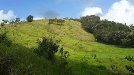 Grassy hillside and forest border under blue sky in Cirí Grande Capira Panama
