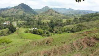 Land for Sale in Cermeño - 0 bedrooms