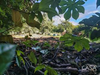 Flat accessible terrain with dense greenery along paved road Caldera Boquete Panama