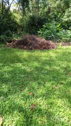 Wooded flat lot with road access in Caldera, Boquete available for sale Panama