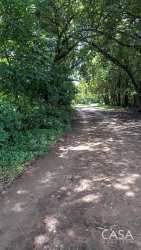 Cleared land parcel in Caldera near Boquete ideal for commercial investment Panama