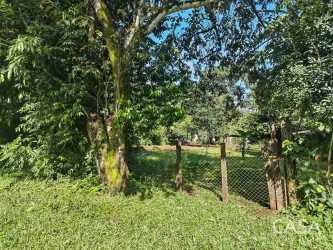 Lush green rural investment property flat lot along Caldera main road Panama