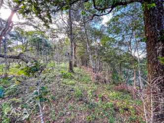 Wooded rural land mountainous area for residential agriculture Boquete