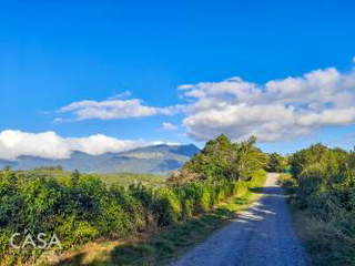 Land / Farm for Sale in Alto Boquete - 1 bedroom