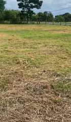 Land for Lease/Sale option open in Monagrillo - 0 bedrooms