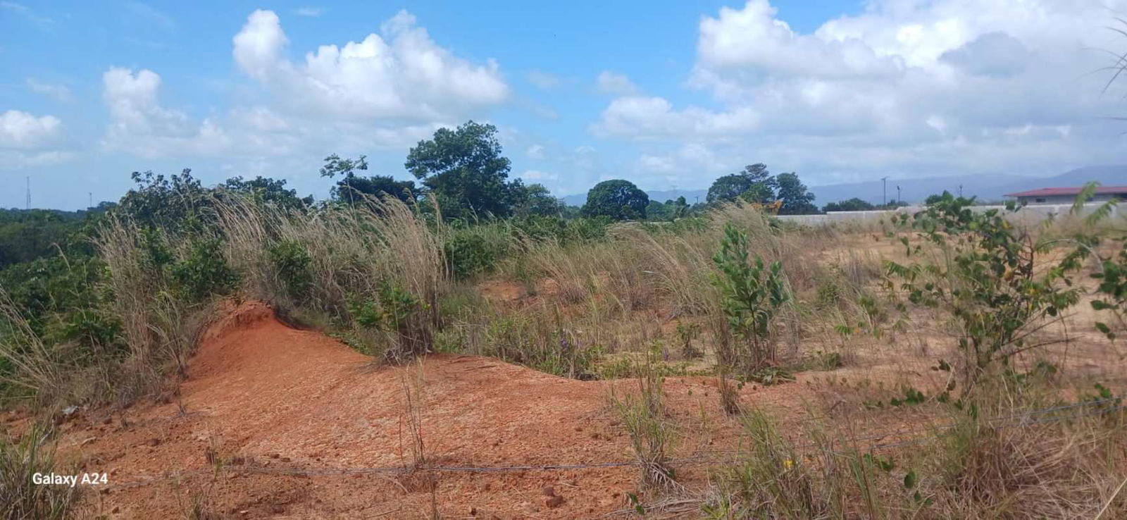 Large open plot with natural vegetation trees and clear blue sky in Pacora Panama