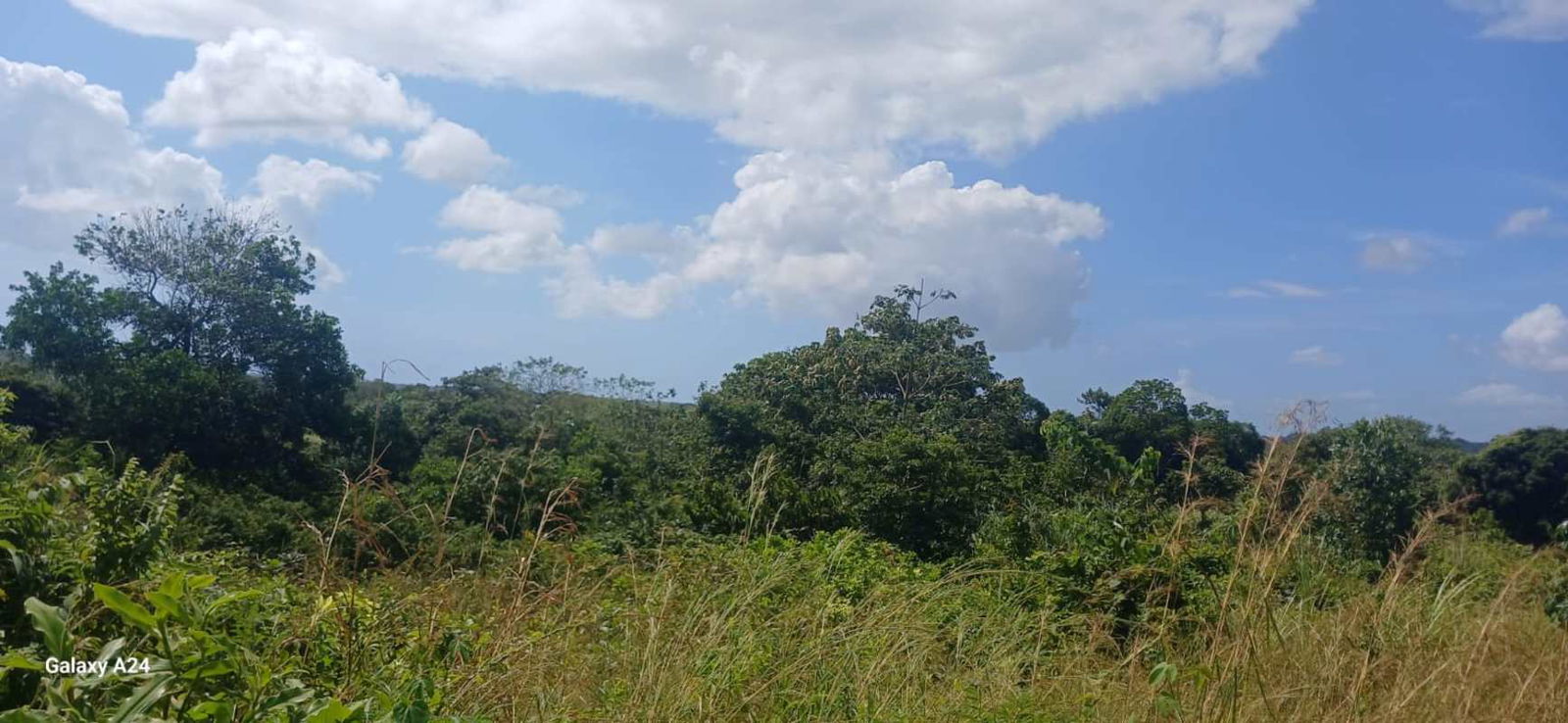 Aerial image of vacant land with green areas adjacent to Pan-American highway in Pacora Panama