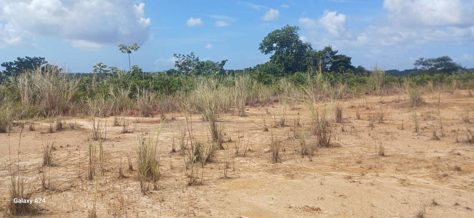 Vacant flat plot with sparse vegetation and clear skies for sale in Pacora along highway Panama