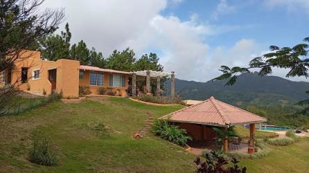 Entrance driveway with landscaped garden and lawn at El Valle Estate Panama