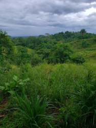 Green rolling hills under sky at Baru ranch land
