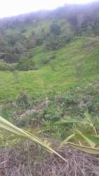 Hilly pasture land with dense vegetation for cattle ranching in Baru Chiriquí