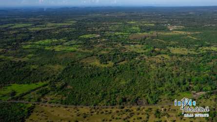 Expansive 100,000 m2 rural land for sale with panoramic mountain views Caldera Boquete Panama