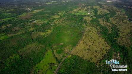 Panoramic aerial of green pasture and native trees with rural road in Boquete Panama land for sale