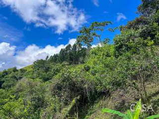 Farm / Finca with House for Sale in Bella Vista - 5 bedrooms