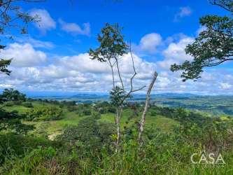 Panoramic hillside farmland with dense vegetation and views towards Volcán Barú