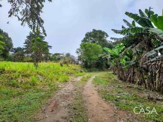 Forested rural landscape with potential farmland in Potrerillos Arriba Dolega Chiriquí Panama