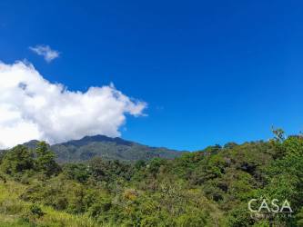 Aerial view showing dense tropical forest with mountain backdrop land for sale Dolega Panama