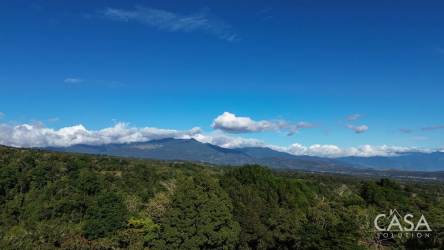 Gravel dirt road access through lush greenery towards Potrerillos Arriba property Panama