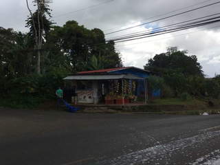 Land for Sale in Pedregal - 0 bedrooms