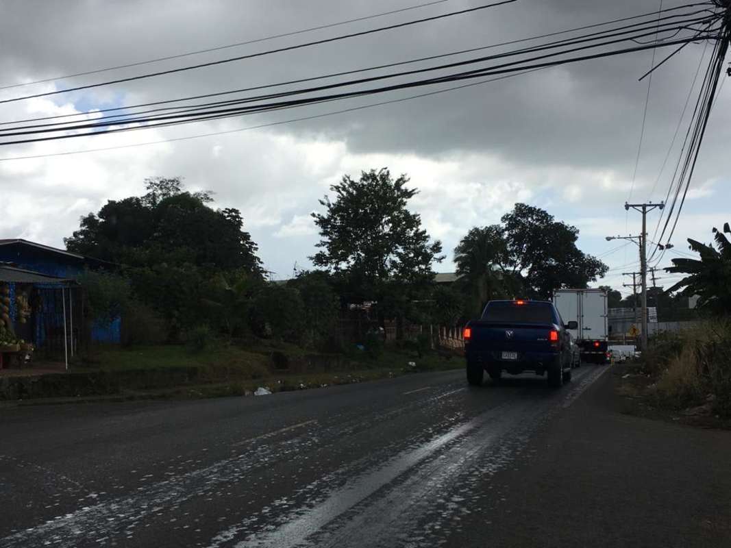 Flat fenced commercial land for investment in Pedregal near Tocumen Panama