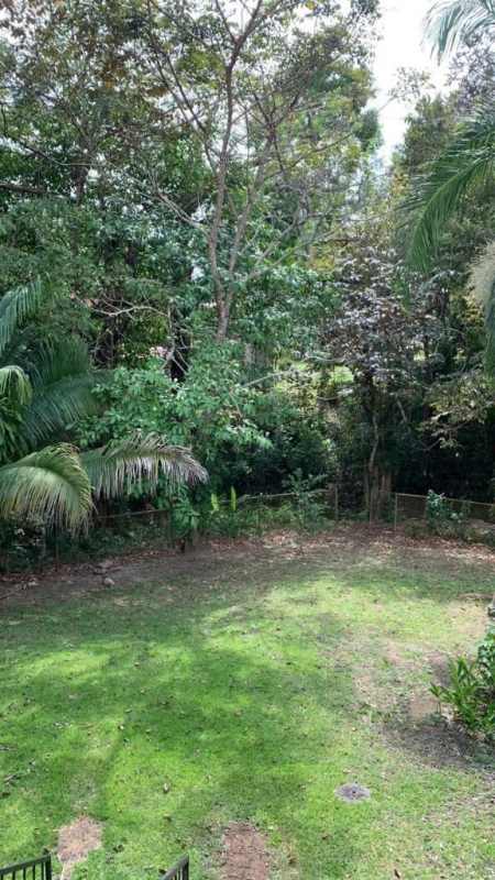 Backyard view with grass trees lush foliage Clayton Panama apartment garden