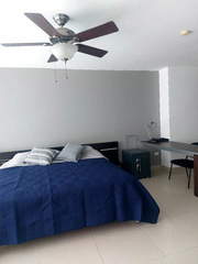 Loft Apartment for Rent in Bella Vista - 1 bedroom