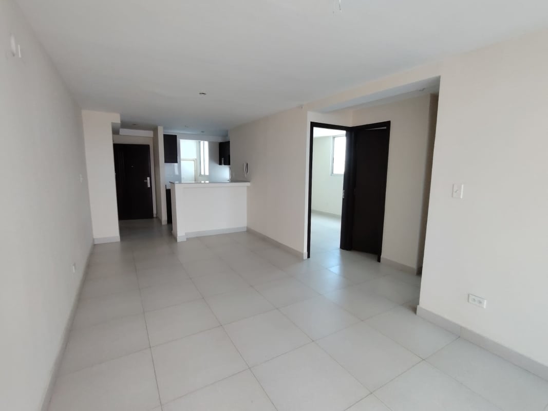 Aerial panorama near PH Arenas Park showing residential towers and Panama skyline