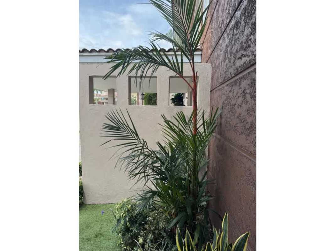 Landscaped private backyard garden with privacy wall in Villa Tiber Panama